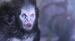Naginc's Avatar