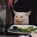 ChittyChkn's Avatar