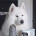 Wex's Avatar