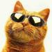 Nou2nn's Avatar