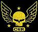 C6 DVL's Avatar
