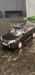 Rarebird1's Avatar