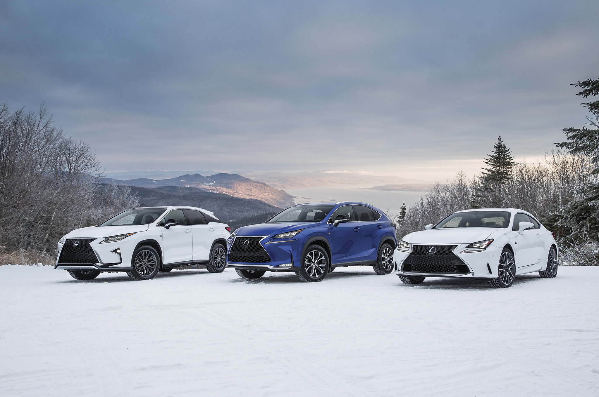 The Best of the Best: Lexus Awards Stacking Up