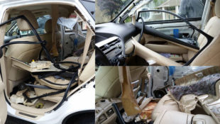 Bear Leaves $70k Lexus Barely Recognizable