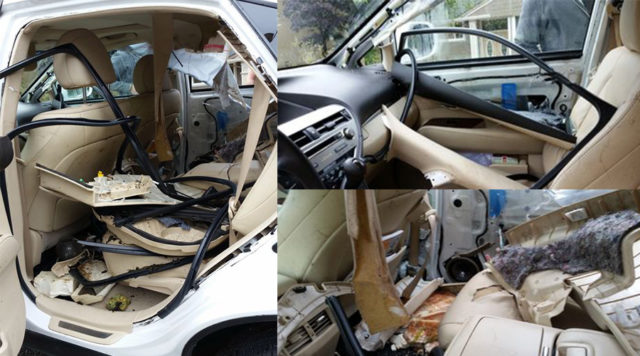 Bear Leaves $70k Lexus Barely Recognizable