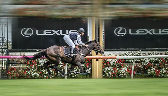 Victoria Racing Club Lexus Melbourne Cup