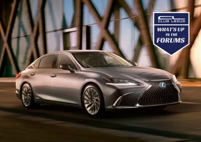 2019 Lexus ES Debuts: What Do You Think?