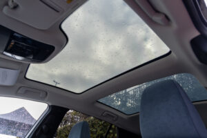 Dynamic Sky glass roof -- clear