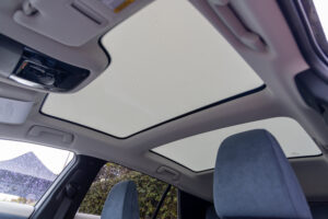 Dynamic Sky glass roof -- opaque